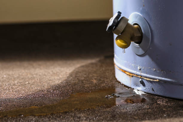  Pine Level, NC Water damage restoration Pros