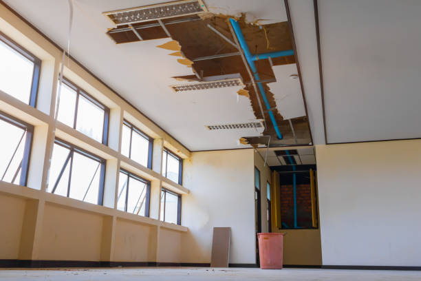 Best Water damage cleanup near me  in Pine Level, NC