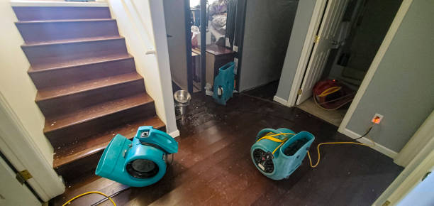 Best Water damage restoration cost  in Pine Level, NC