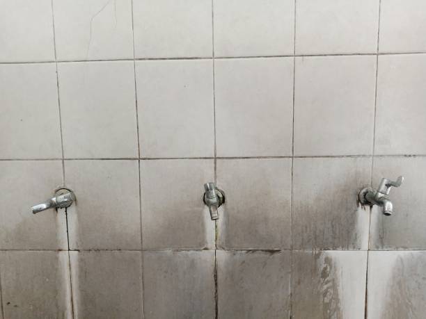 Water damage restoration experts in Pine Level, NC