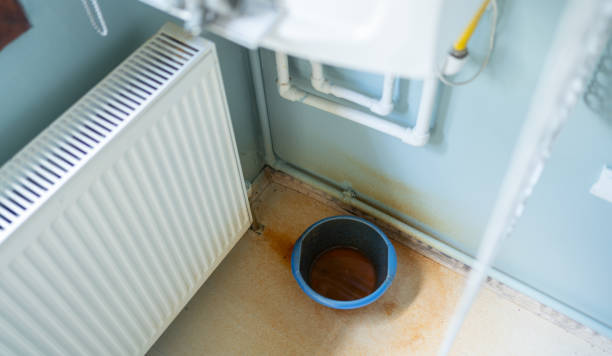 Trusted Pine Level, NC Water damage restoration Experts