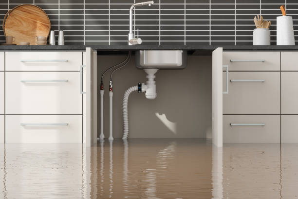 Best Professional water damage repair  in Pine Level, NC