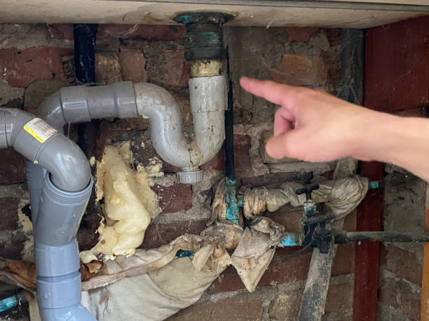 Best Sewage cleanup and water damage restoration  in Pine Level, NC