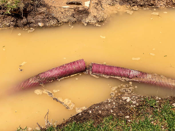 Best Professional water damage repair  in Pine Level, NC