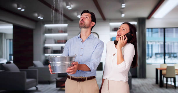 Best Commercial water damage restoration  in Pine Level, NC