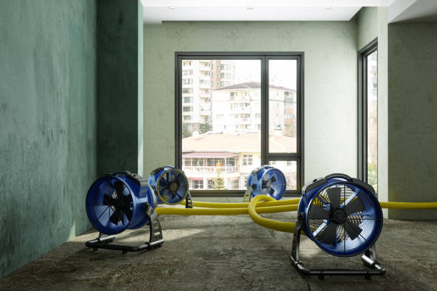Best 24-hour water damage restoration  in Pine Level, NC